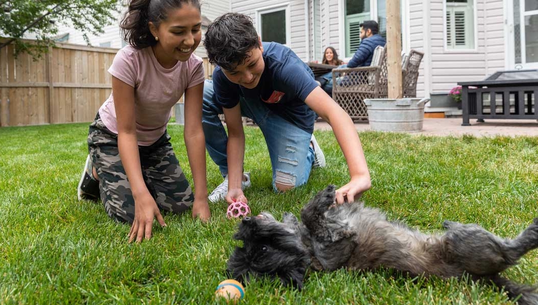 kids playing with a dog outside