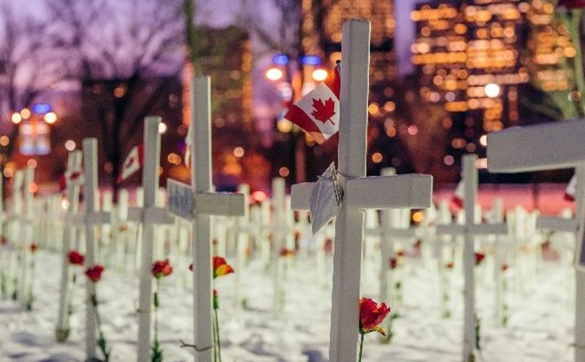 crosses on Memorial Drive with poppies